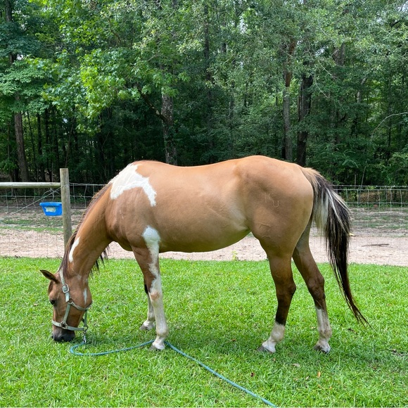 Meet your Posher, Kerry - Picture 7 of 12